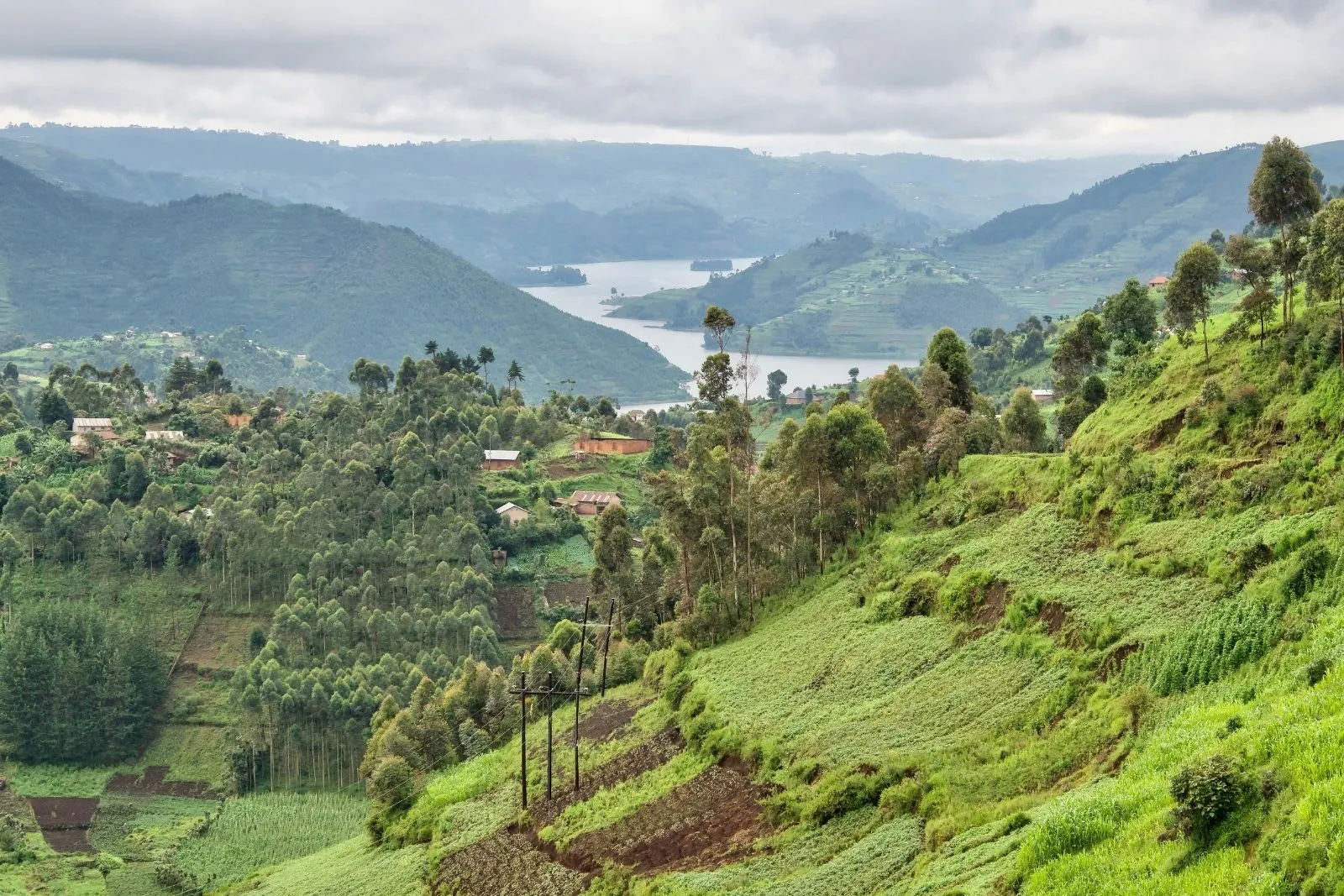 Uganda