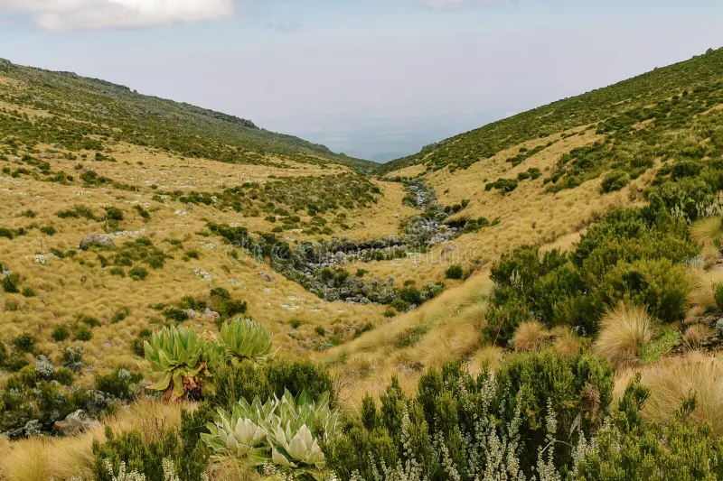 Safari experience: 5 Days Sirimon - Chogoria Route